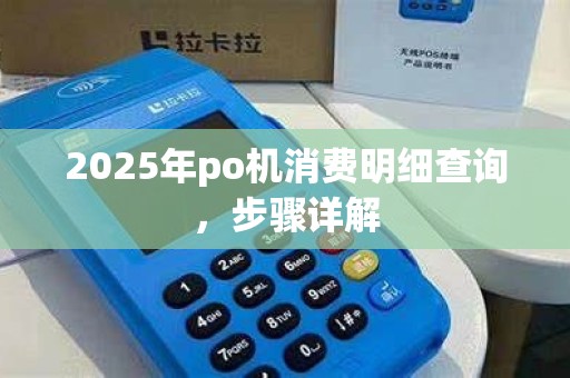 2025年po机消费明细查询，步骤详解