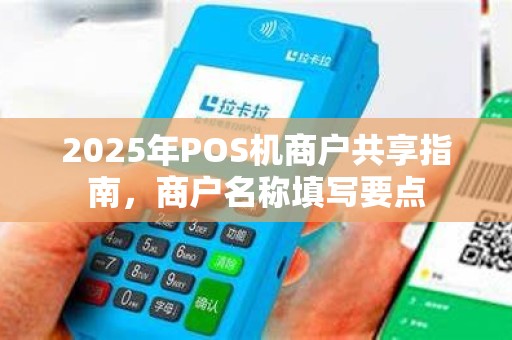 2025年POS机商户共享指南,商户名称填写要点
