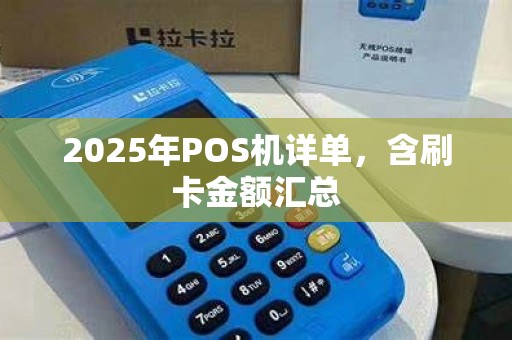 2025年POS机详单,含刷卡金额汇总