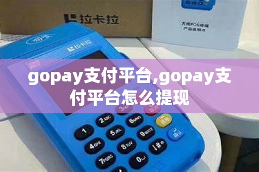 gopay支付平台,gopay支付平台怎么提现