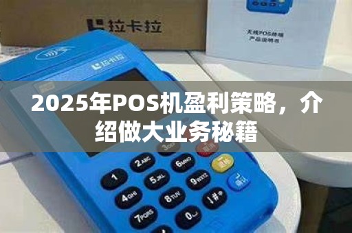2025年POS机盈利策略，介绍做大业务秘籍