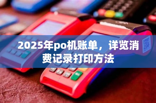 2025年po机账单，详览消费记录打印方法
