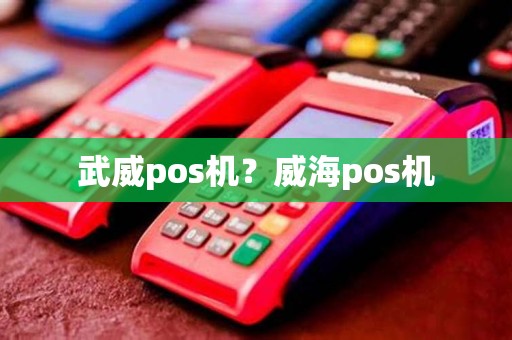 武威pos机？威海pos机