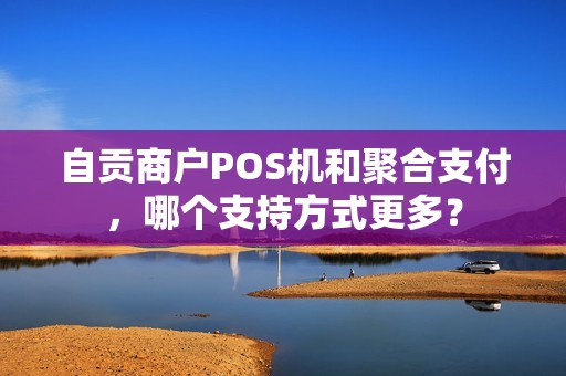 自贡商户POS机和聚合支付，哪个支持方式更多？