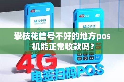 攀枝花信号不好的地方pos 机能正常收款吗？