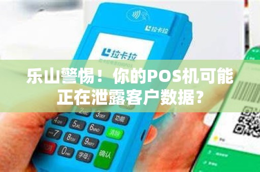 乐山警惕！你的POS机可能正在泄露客户数据？