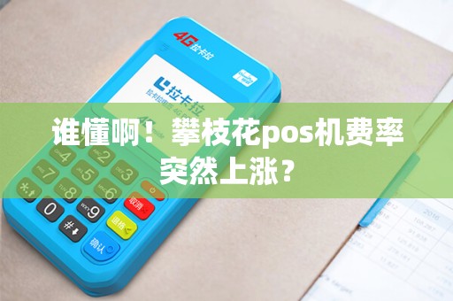 谁懂啊！攀枝花pos机费率突然上涨？