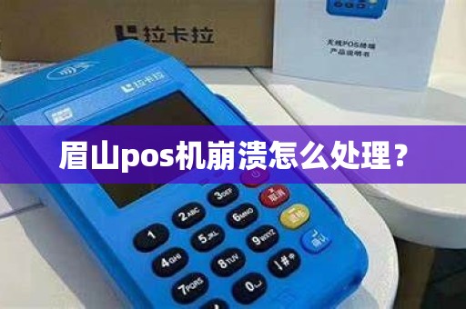 眉山pos机崩溃怎么处理？