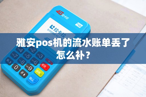雅安pos机的流水账单丢了怎么补？