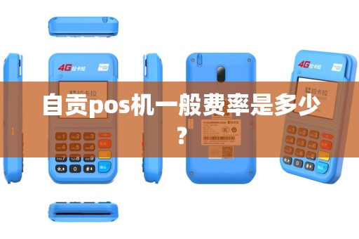 自贡pos机一般费率是多少？