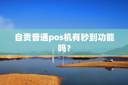 自贡普通pos机有秒到功能吗？