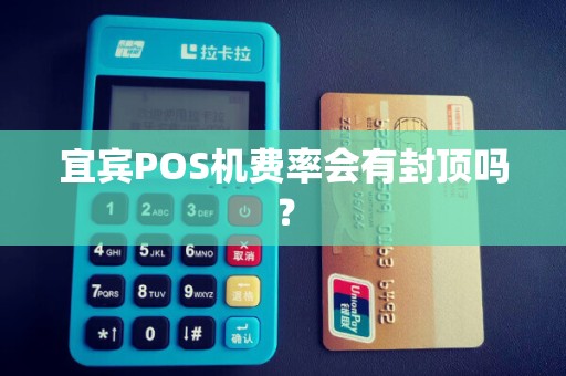 宜宾POS机费率会有封顶吗？