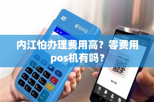 内江怕办理费用高？零费用pos机有吗？