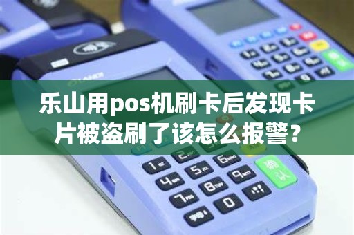 乐山用pos机刷卡后发现卡片被盗刷了该怎么报警？