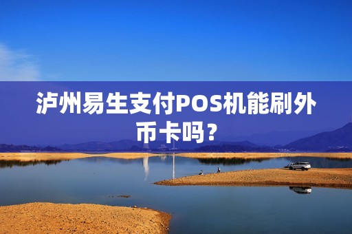 泸州易生支付POS机能刷外币卡吗？