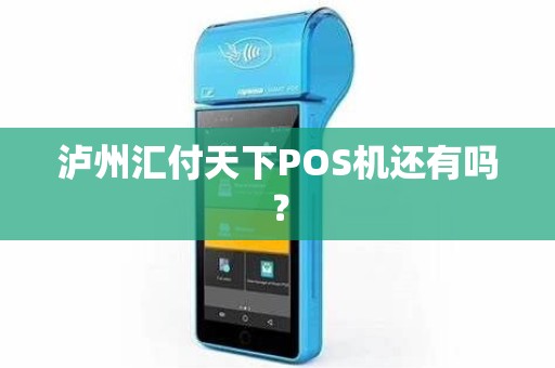泸州汇付天下POS机还有吗？