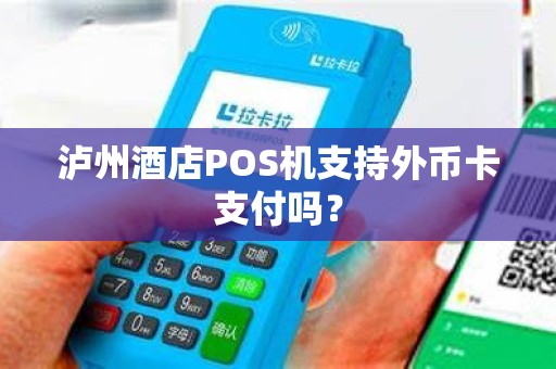 泸州酒店POS机支持外币卡支付吗？