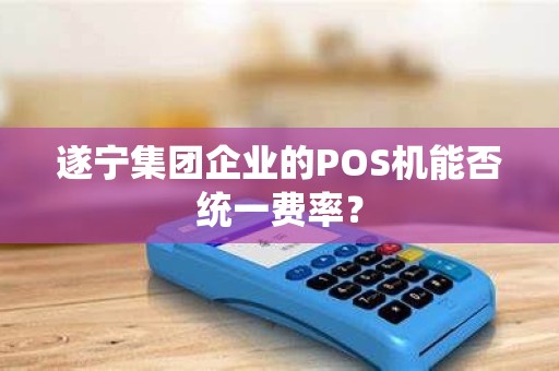 遂宁集团企业的POS机能否统一费率？