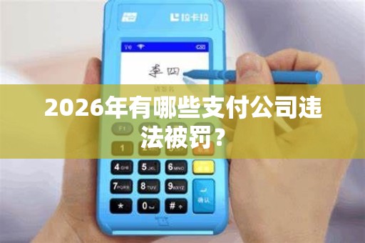 2026年有哪些支付公司违法被罚？