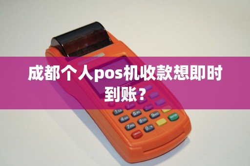 成都个人pos机收款想即时到账？