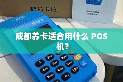 成都养卡适合用什么 POS 机？