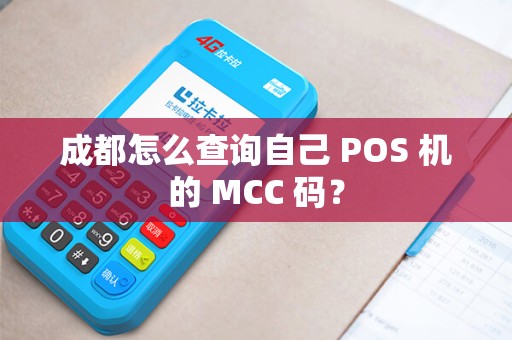 成都怎么查询自己 POS 机的 MCC 码？