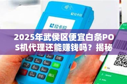2025年武侯区便宜白条POS机代理还能赚钱吗？揭秘行业真相与避坑指南