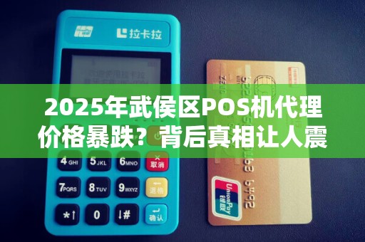 2025年武侯区POS机代理价格暴跌？背后真相让人震惊！