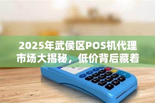 2025年武侯区POS机代理市场大揭秘，低价背后藏着哪些不为人知的陷阱？