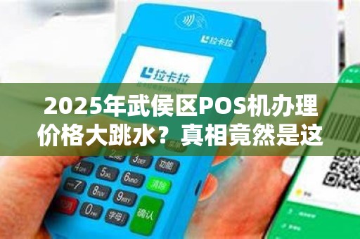 2025年武侯区POS机办理价格大跳水？真相竟然是这样！