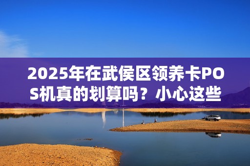 2025年在武侯区领养卡POS机真的划算吗？小心这些隐藏陷阱！