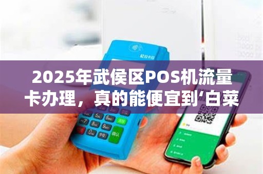 2025年武侯区POS机流量卡办理，真的能便宜到‘白菜价’揭秘行业内幕！