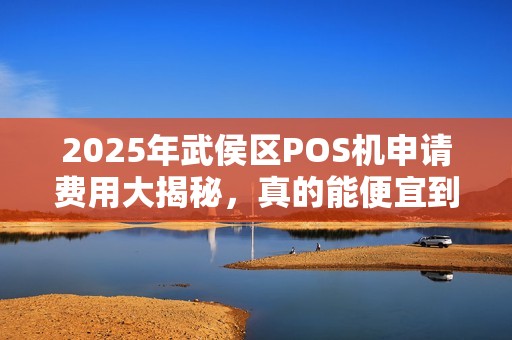 2025年武侯区POS机申请费用大揭秘，真的能便宜到白送吗？
