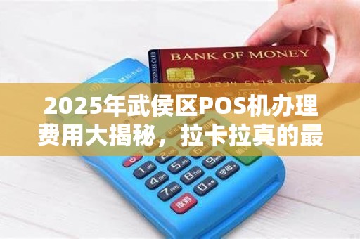 2025年武侯区POS机办理费用大揭秘，拉卡拉真的最便宜吗？