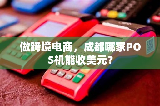 做跨境电商，成都哪家POS机能收美元？