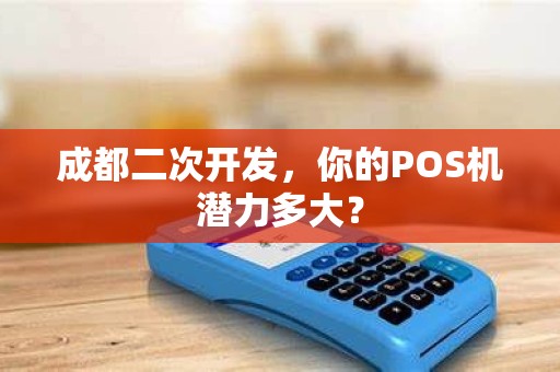 成都二次开发，你的POS机潜力多大？