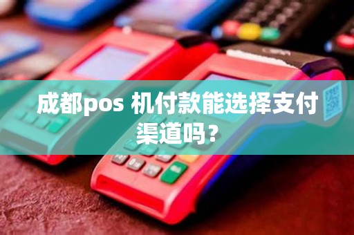 成都pos 机付款能选择支付渠道吗？