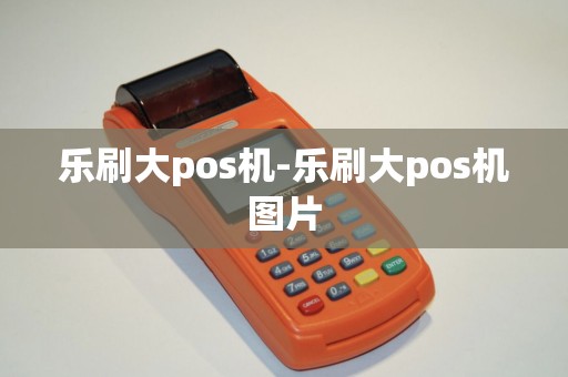 乐刷大pos机-乐刷大pos机图片