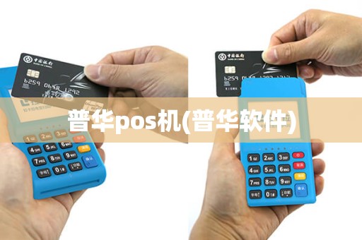 普华pos机(普华软件)