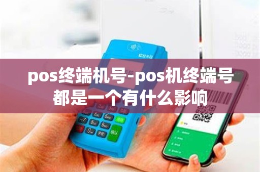 pos终端机号-pos机终端号都是一个有什么影响