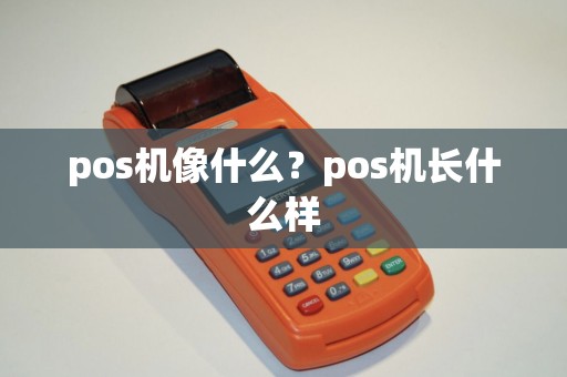 pos机像什么？pos机长什么样