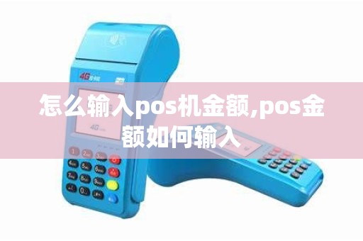 怎么输入pos机金额,pos金额如何输入