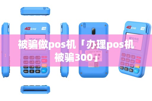 被骗做pos机「办理pos机被骗300」