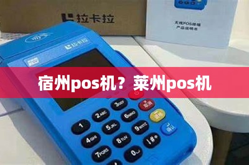 宿州pos机？莱州pos机