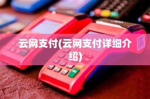 云网支付(云网支付详细介绍)