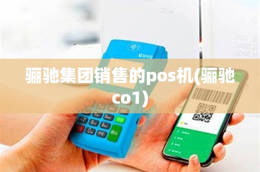 骊驰集团销售的pos机(骊驰co1)