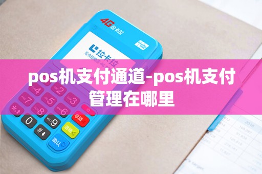 pos机支付通道-pos机支付管理在哪里