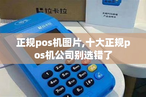 正规pos机图片,十大正规pos机公司别选错了