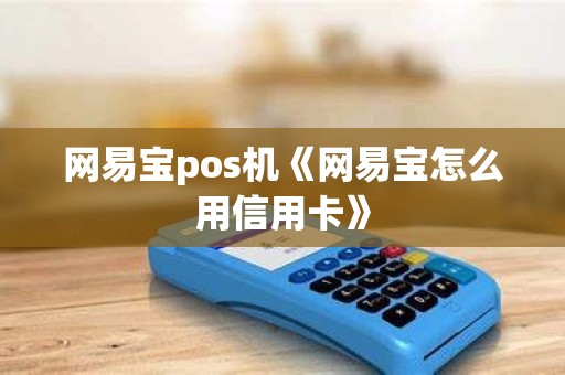 网易宝pos机《网易宝怎么用信用卡》