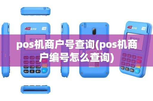 pos机商户号查询(pos机商户编号怎么查询)